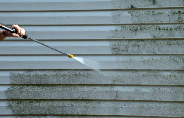 Professional  Pressure Washing in Flushing, MI